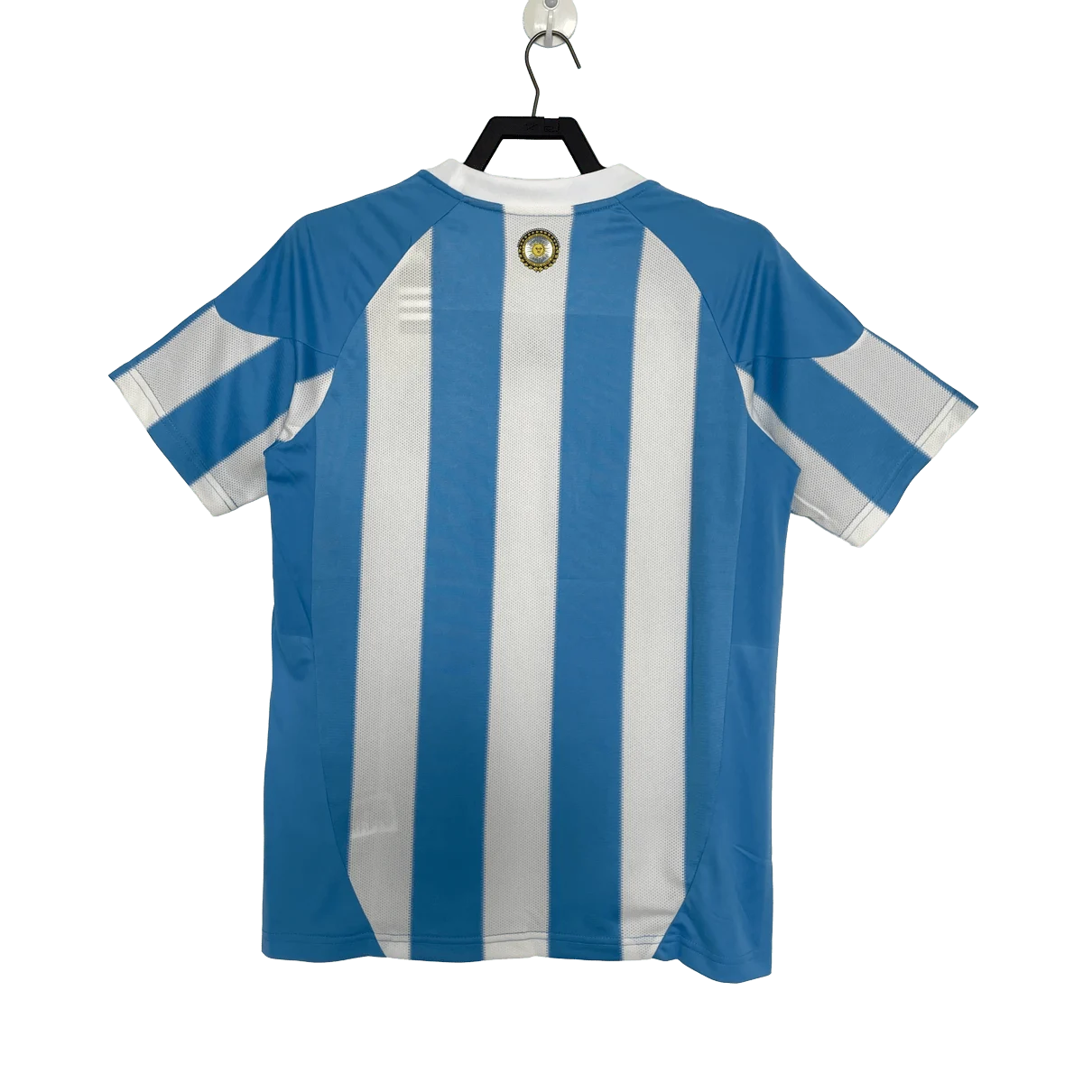 Argentina Home 2010 Football Jersey
